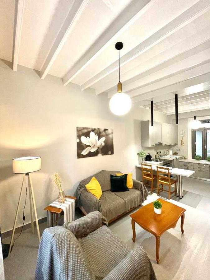 Apartmán Elia Downtown Eco House Mytilíni Exteriér fotografie