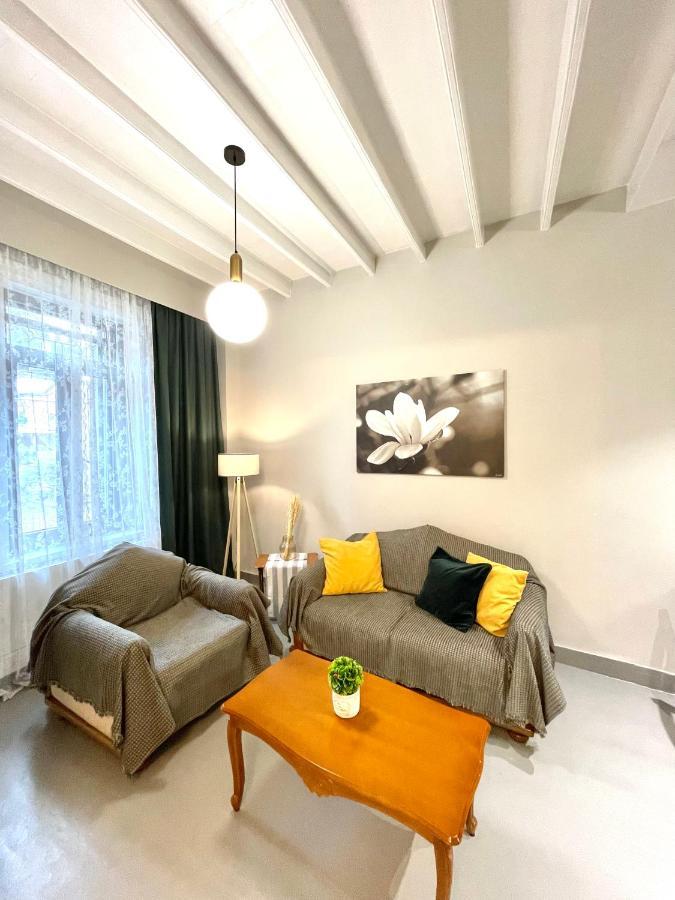 Apartmán Elia Downtown Eco House Mytilíni Exteriér fotografie